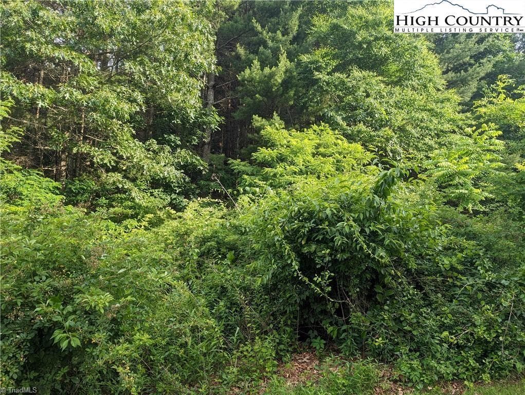 Unimproved Land at Lot 1 Briarwood Lane, Sparta NC 28675, photo 4 of 9