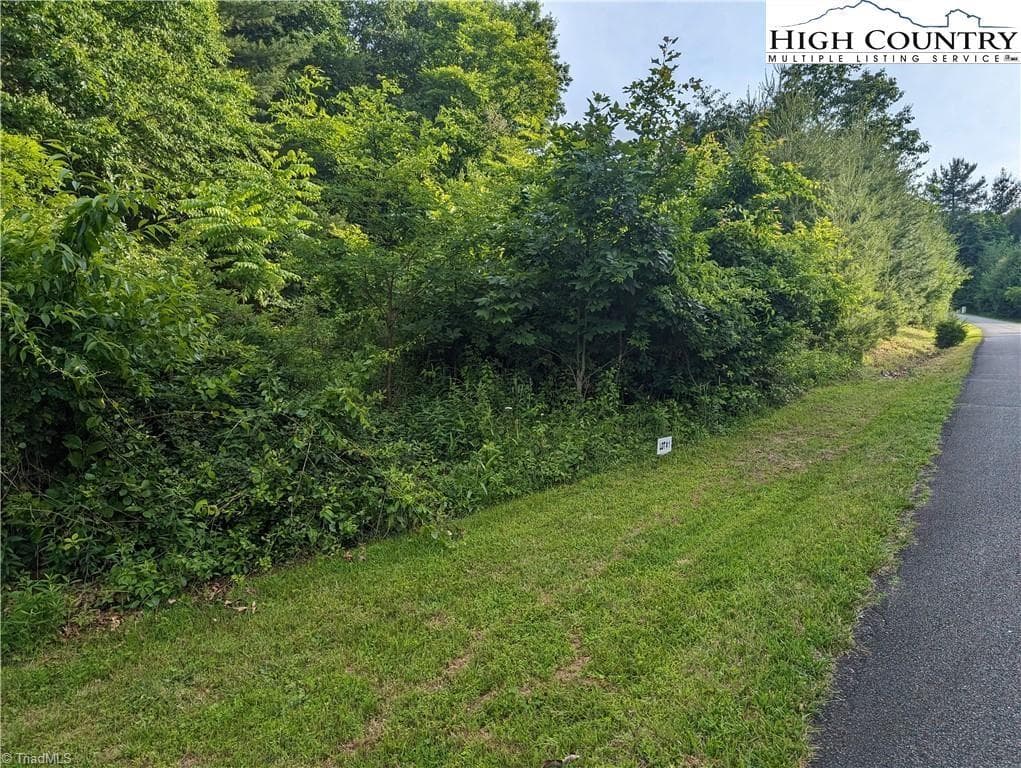Unimproved Land at Lot 1 Briarwood Lane, Sparta NC 28675, photo 8 of 9