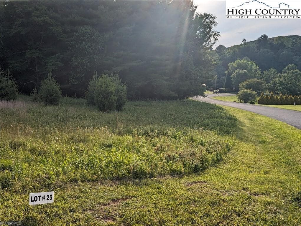 Unimproved Land at Lot 25 Dockery Lane, Sparta NC 28675, photo 2 of 10