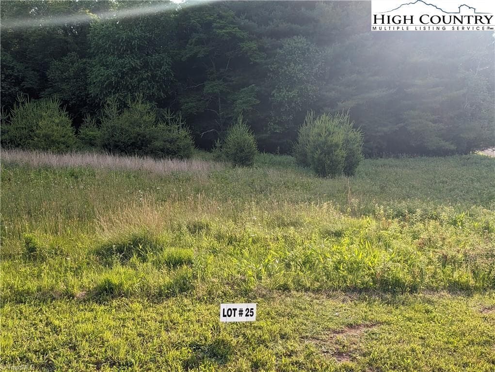 Unimproved Land at Lot 25 Dockery Lane, Sparta NC 28675, photo 3 of 10