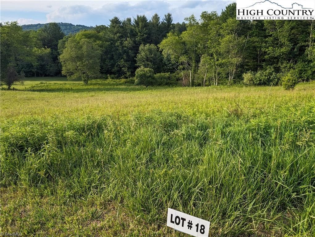Unimproved Land at Lot 18 Fraser Road, Sparta NC 28675, photo 2 of 9
