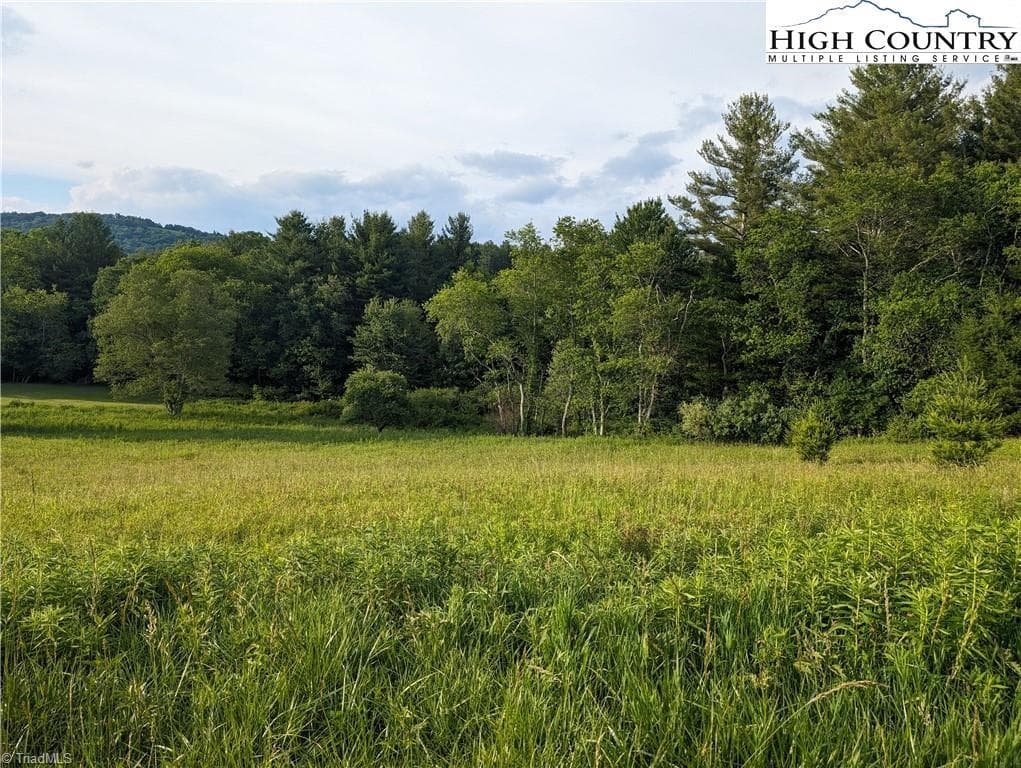 Unimproved Land at Lot 18 Fraser Road, Sparta NC 28675, photo 6 of 9