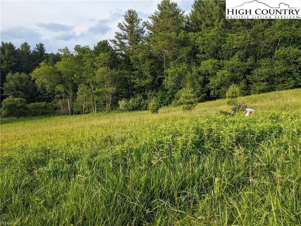 Unimproved Land at Lot 18 Fraser Road, Sparta NC 28675, photo 5 of 9