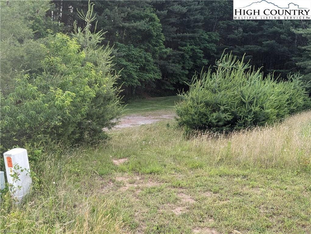 Unimproved Land at Lot 14 River Creek Drive, Sparta NC 28675, photo 5 of 8