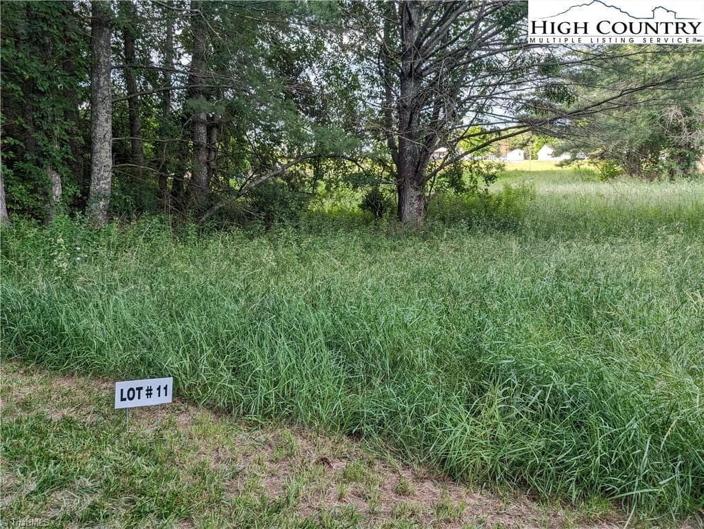 Unimproved Land at Lot 11 Sugar Creek Lane, Sparta NC 28675, photo 2 of 10