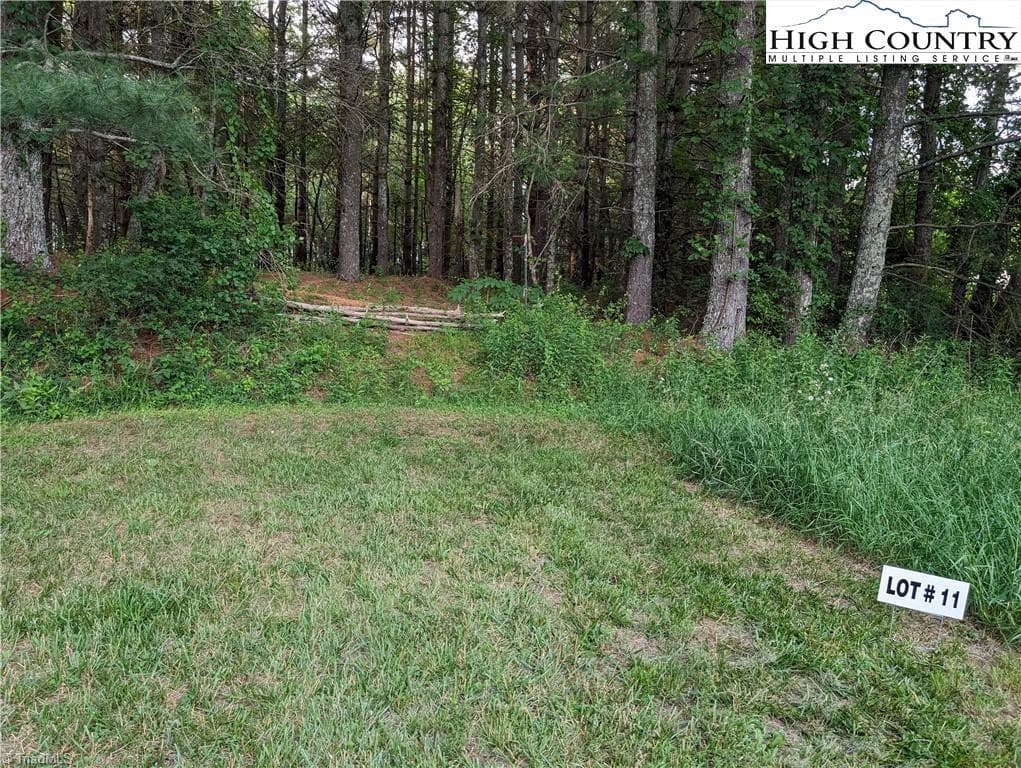 Unimproved Land at Lot 11 Sugar Creek Lane, Sparta NC 28675, photo 6 of 10
