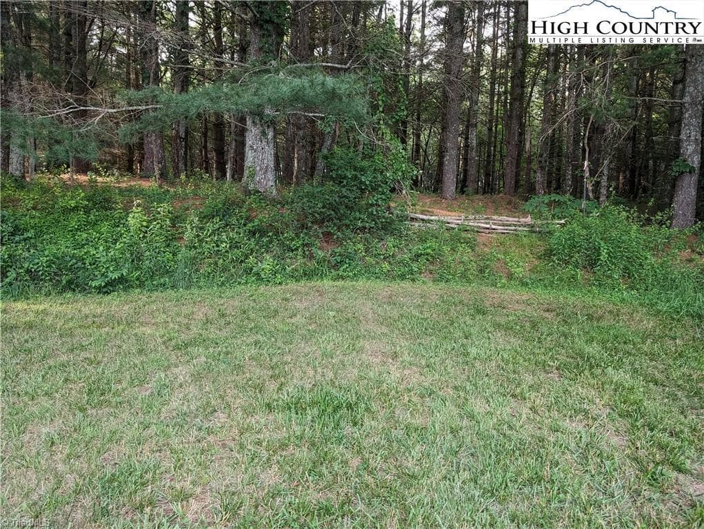 Unimproved Land at Lot 11 Sugar Creek Lane, Sparta NC 28675, photo 7 of 10