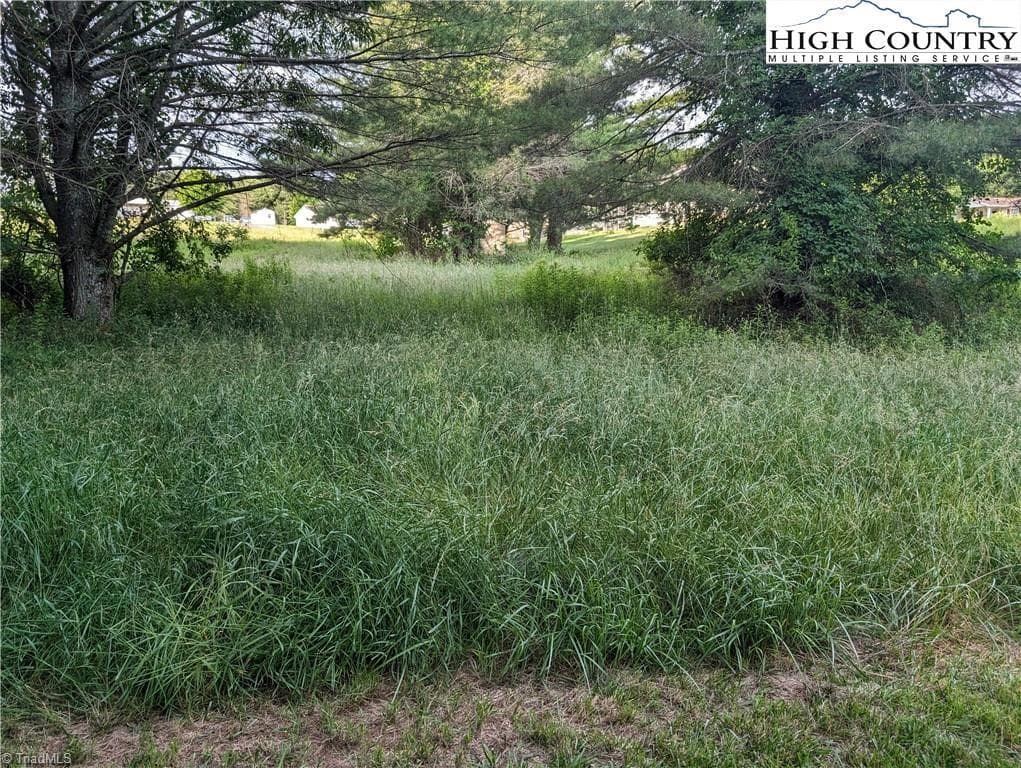 Unimproved Land at Lot 11 Sugar Creek Lane, Sparta NC 28675, photo 3 of 10