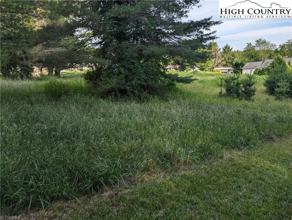 Unimproved Land at Lot 11 Sugar Creek Lane, Sparta NC 28675, photo 5 of 10