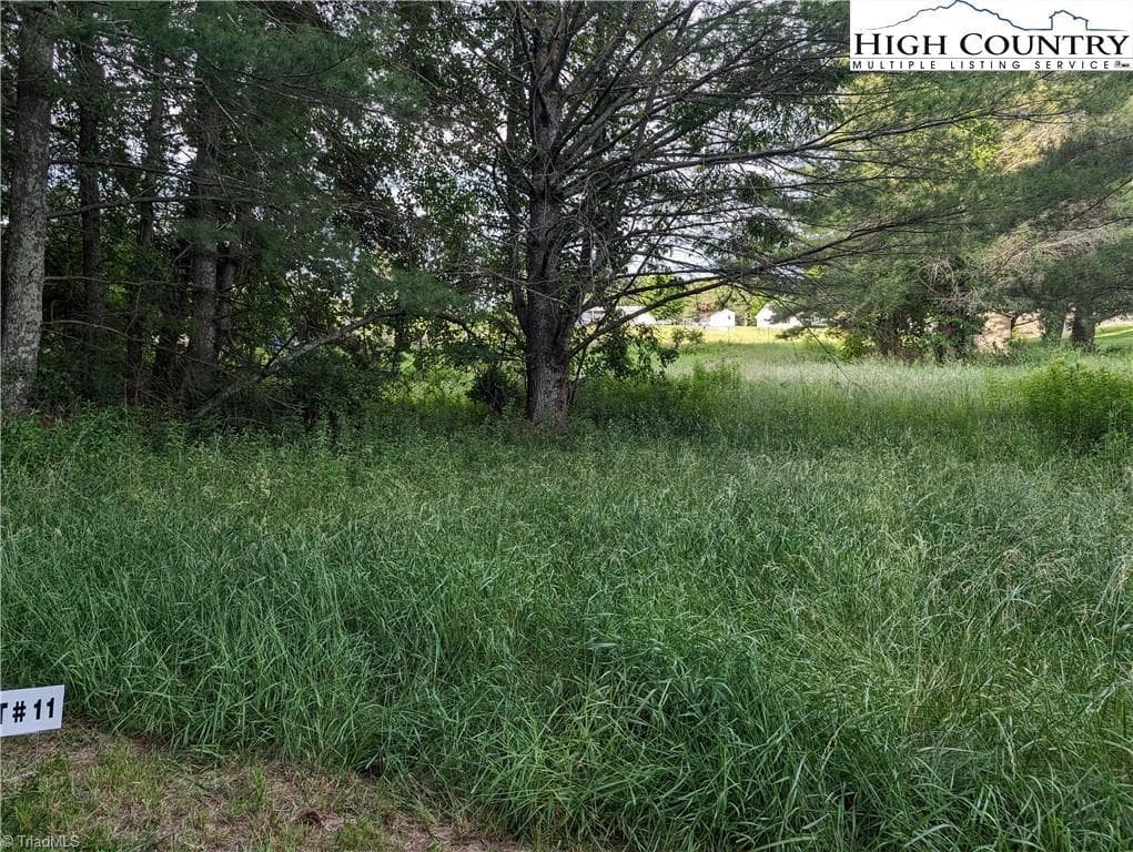 Unimproved Land at Lot 11 Sugar Creek Lane, Sparta NC 28675, photo 8 of 10