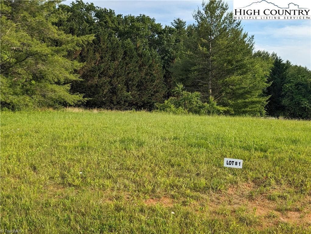 Unimproved Land at Lot 1 River Creek Drive, Sparta NC 28675, photo 3 of 6
