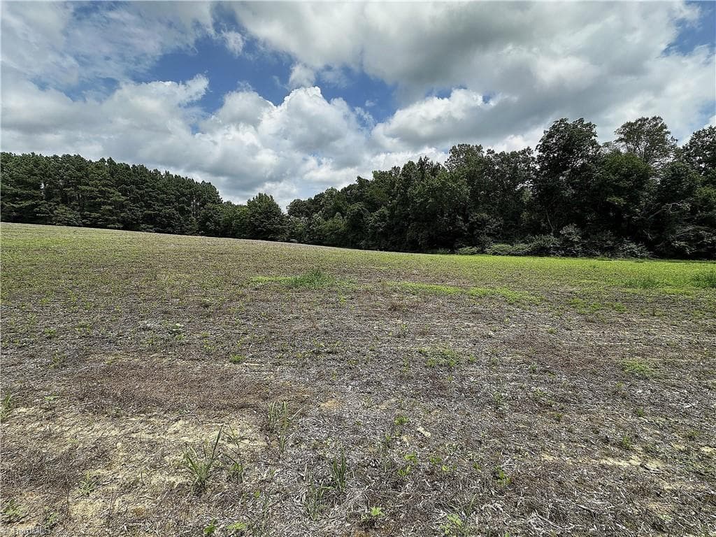 Agriculture at 0 Candy Creek Road, Reidsville NC 27320, photo 23 of 45