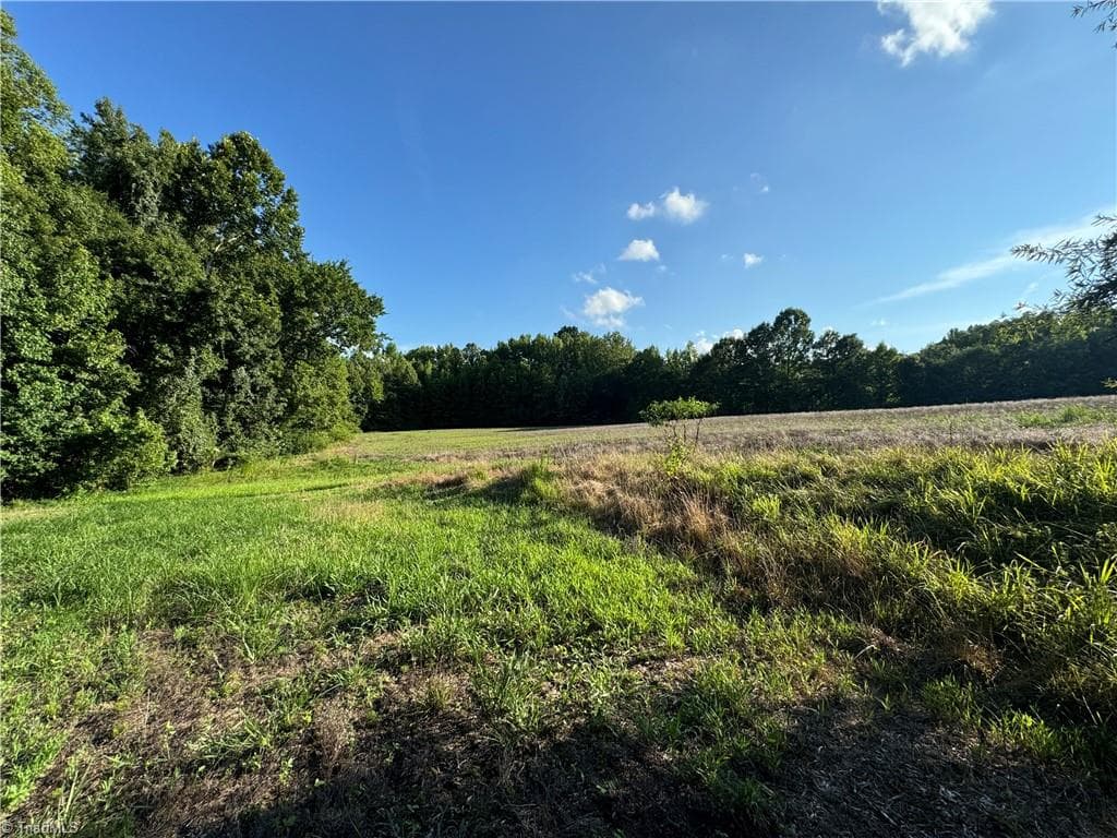 Agriculture at 0 Candy Creek Road, Reidsville NC 27320, photo 27 of 45