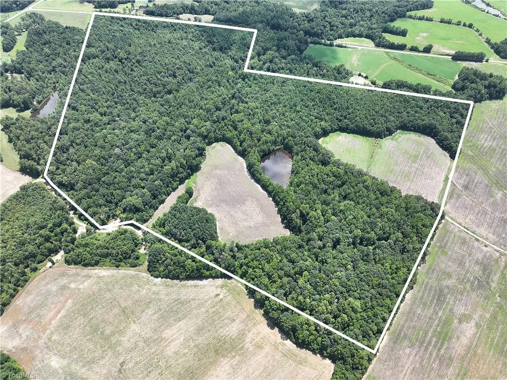 Agriculture at 0 Candy Creek Road, Reidsville NC 27320, photo 2 of 45