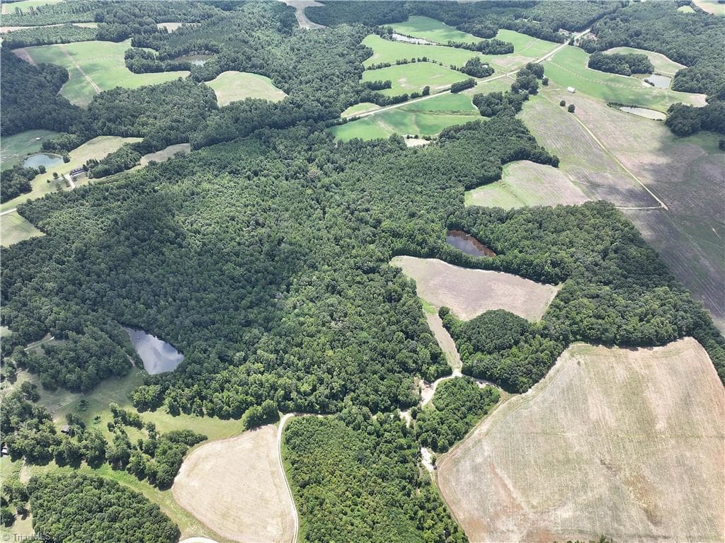 Agriculture at 0 Candy Creek Road, Reidsville NC 27320, photo 42 of 45