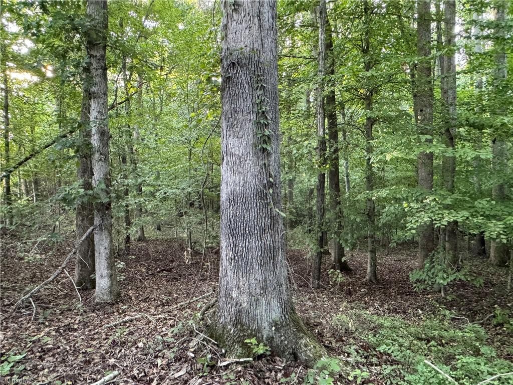 Agriculture at 0 Candy Creek Road, Reidsville NC 27320, photo 13 of 45