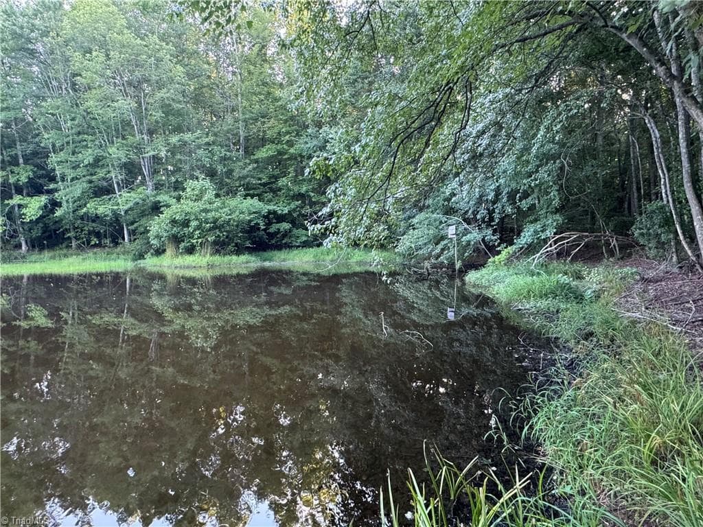 Agriculture at 0 Candy Creek Road, Reidsville NC 27320, photo 17 of 45