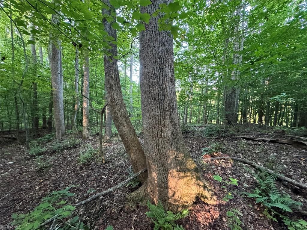 Agriculture at 0 Candy Creek Road, Reidsville NC 27320, photo 12 of 45