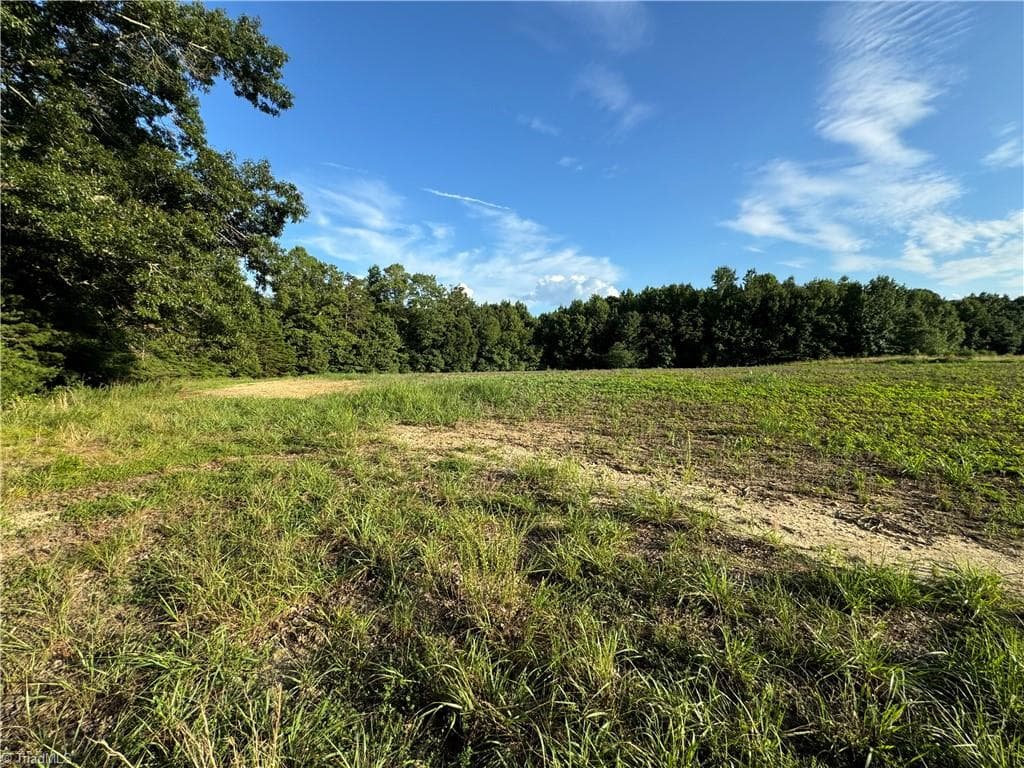 Agriculture at 0 Candy Creek Road, Reidsville NC 27320, photo 26 of 45