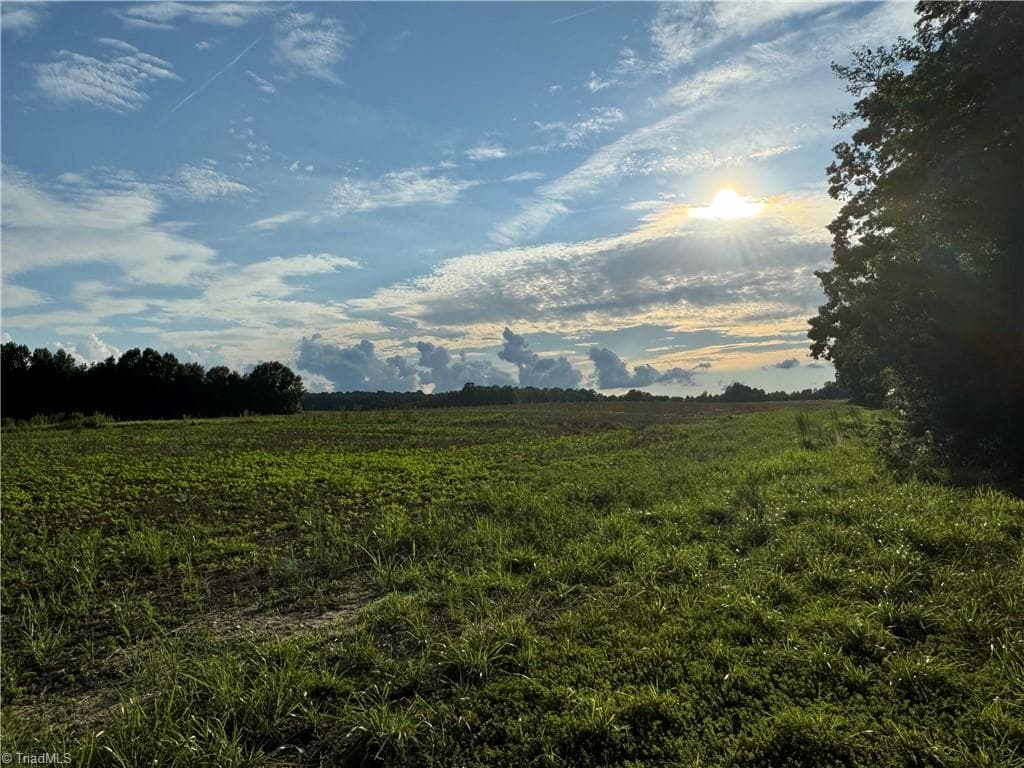 Agriculture at 0 Candy Creek Road, Reidsville NC 27320, photo 22 of 45