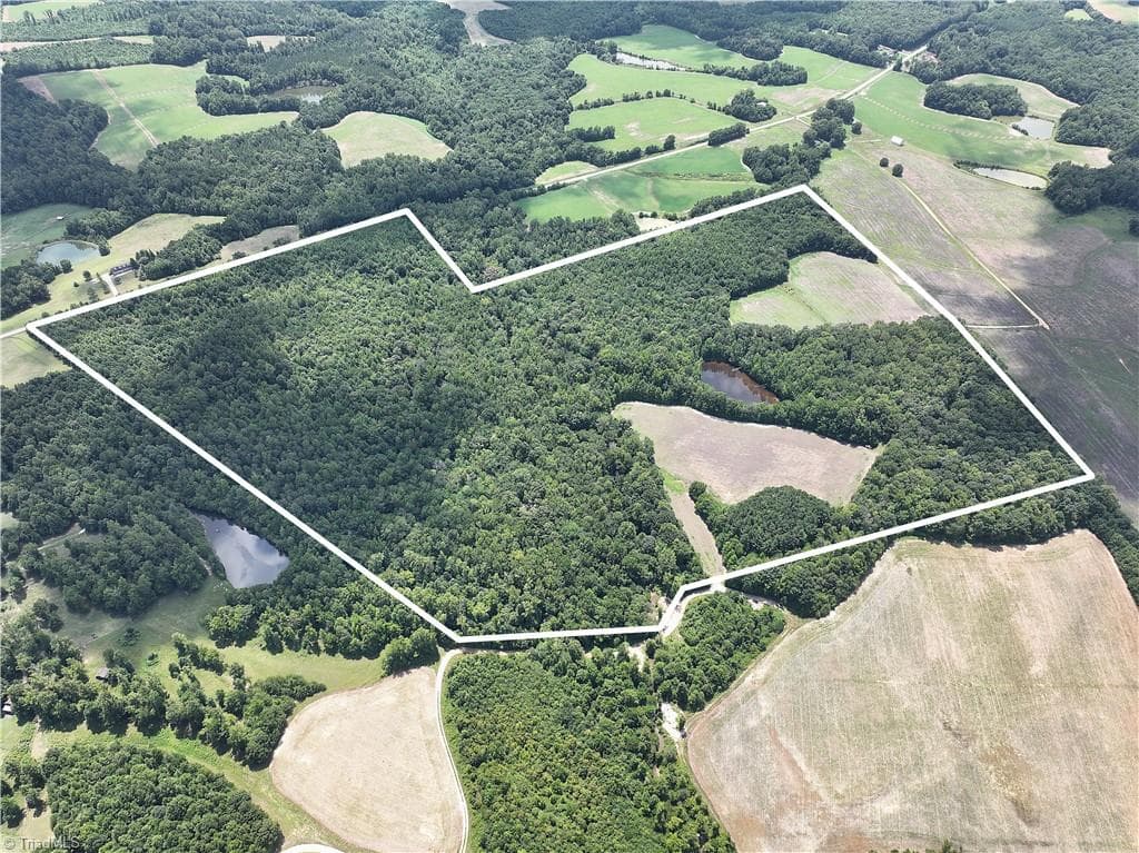 Agriculture at 0 Candy Creek Road, Reidsville NC 27320, photo 3 of 45