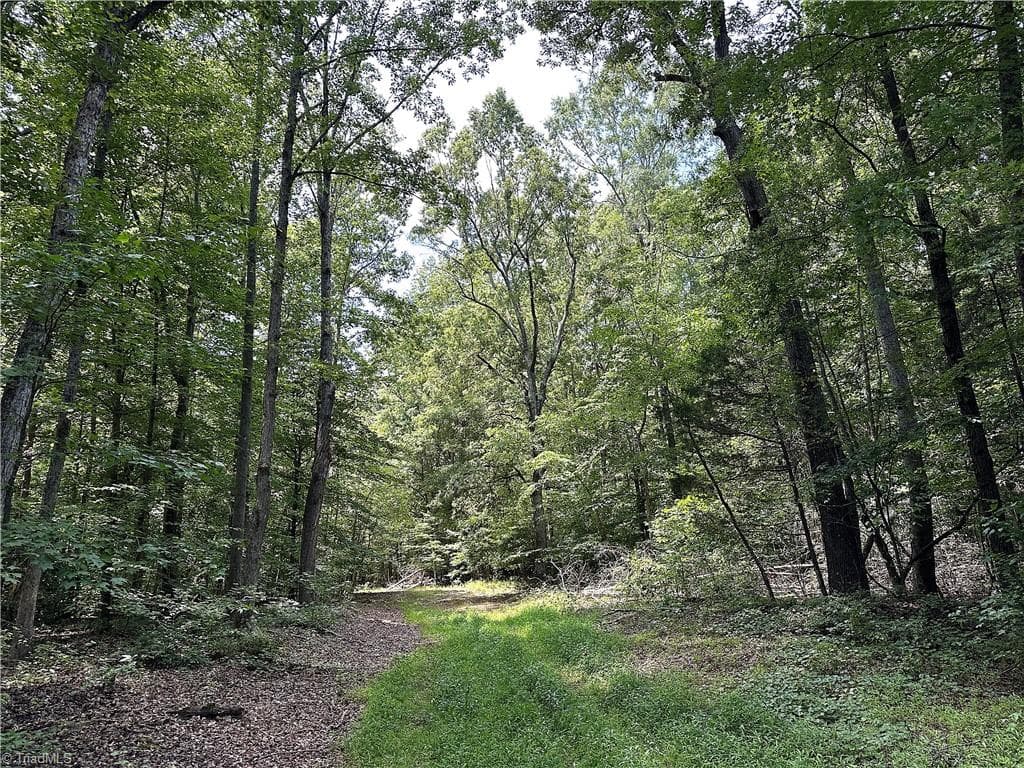 Agriculture at 0 Candy Creek Road, Reidsville NC 27320, photo 32 of 45