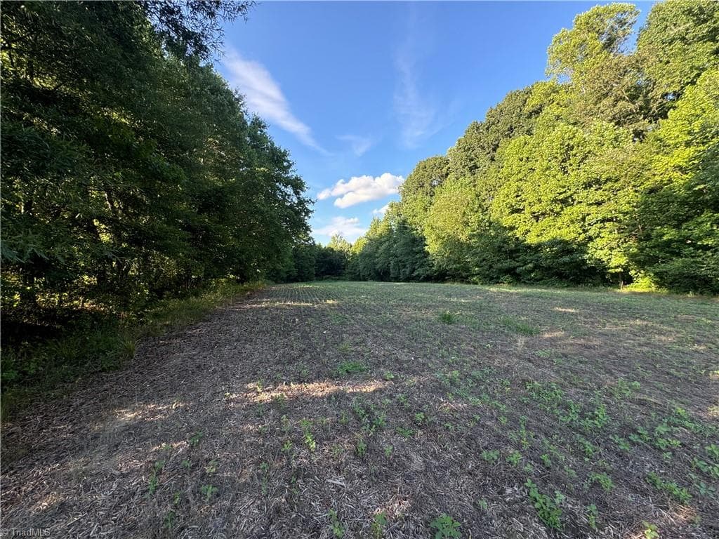 Agriculture at 0 Candy Creek Road, Reidsville NC 27320, photo 28 of 45