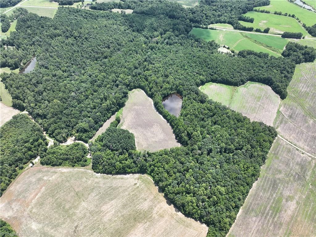 Agriculture at 0 Candy Creek Road, Reidsville NC 27320, photo 20 of 45