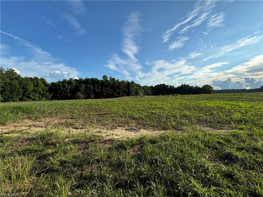Agriculture at 0 Candy Creek Road, Reidsville NC 27320, photo 24 of 45