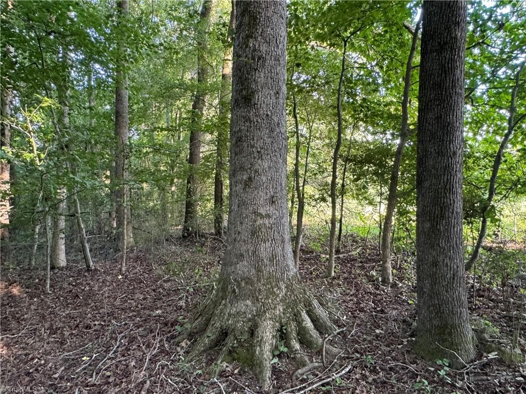 Agriculture at 0 Candy Creek Road, Reidsville NC 27320, photo 10 of 45