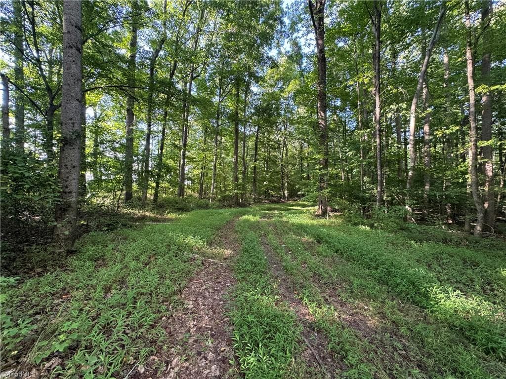 Agriculture at 0 Candy Creek Road, Reidsville NC 27320, photo 33 of 45