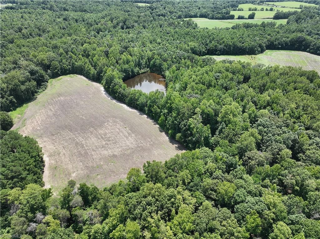 Agriculture at 0 Candy Creek Road, Reidsville NC 27320, photo 19 of 45