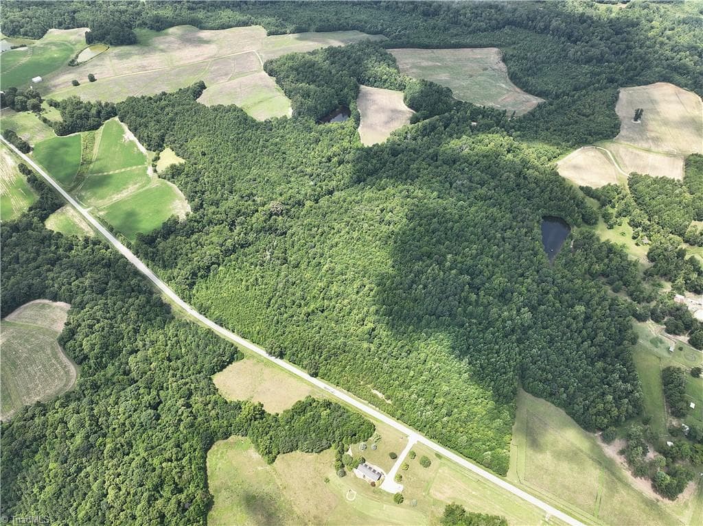 Agriculture at 0 Candy Creek Road, Reidsville NC 27320, photo 44 of 45