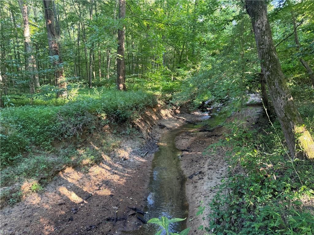 Agriculture at 0 Candy Creek Road, Reidsville NC 27320, photo 39 of 45