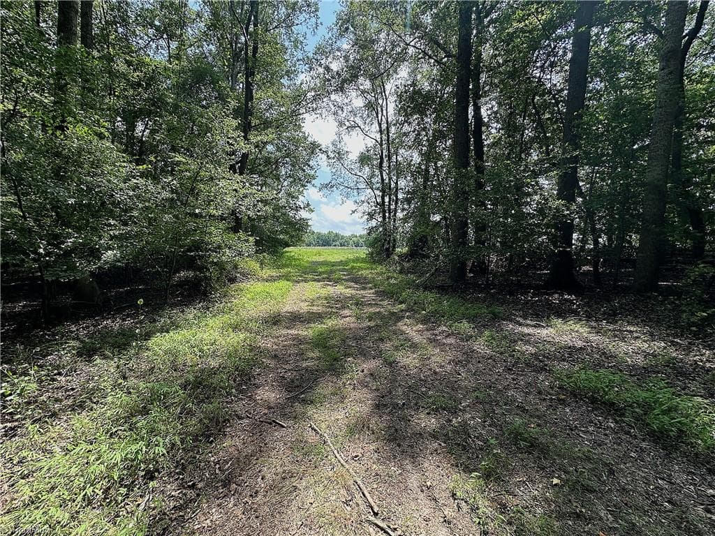 Agriculture at 0 Candy Creek Road, Reidsville NC 27320, photo 29 of 45