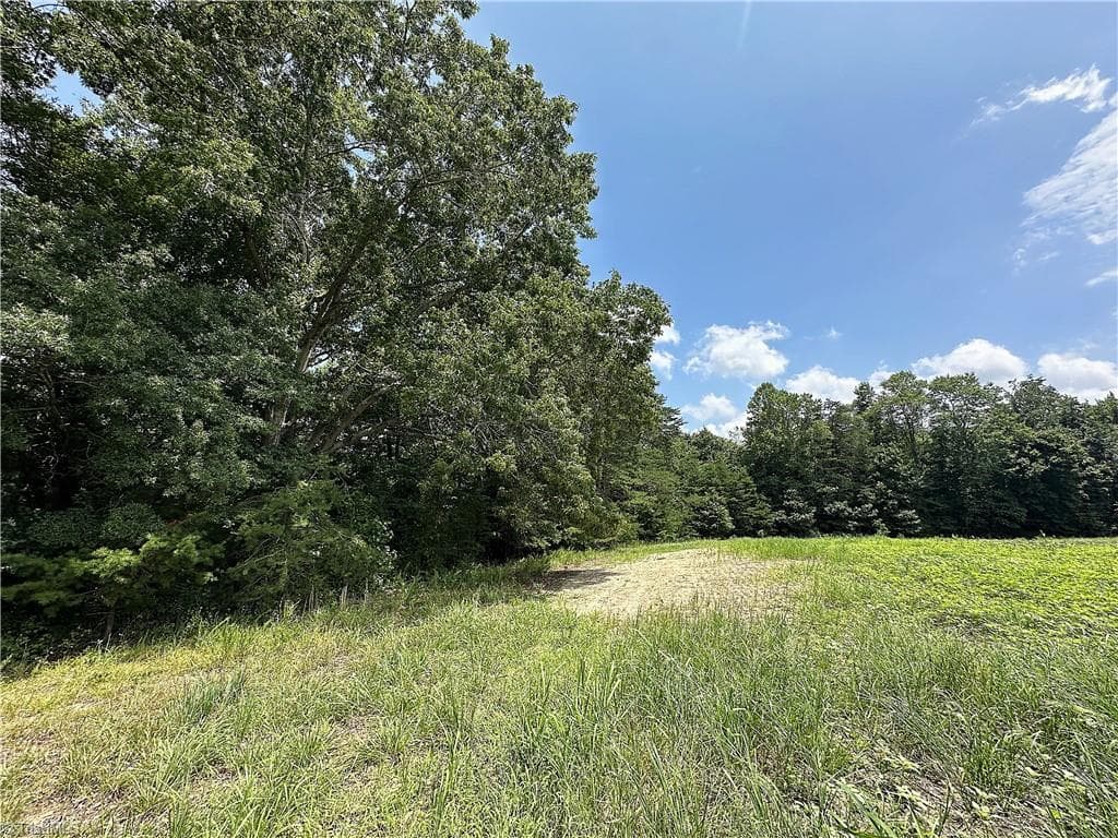 Agriculture at 0 Candy Creek Road, Reidsville NC 27320, photo 25 of 45