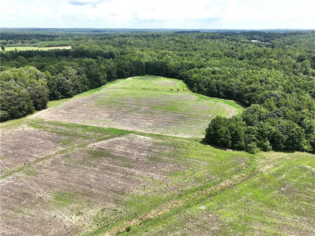 Agriculture at 0 Candy Creek Road, Reidsville NC 27320, photo 21 of 45
