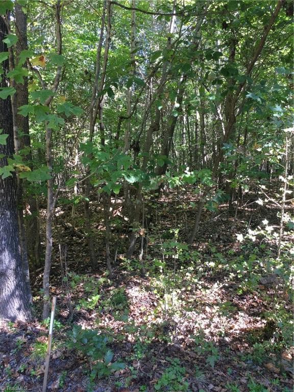 Unimproved Land at 00 & 000 Terrell Street, Mebane NC 27302, Mebane, photo 2 of 7