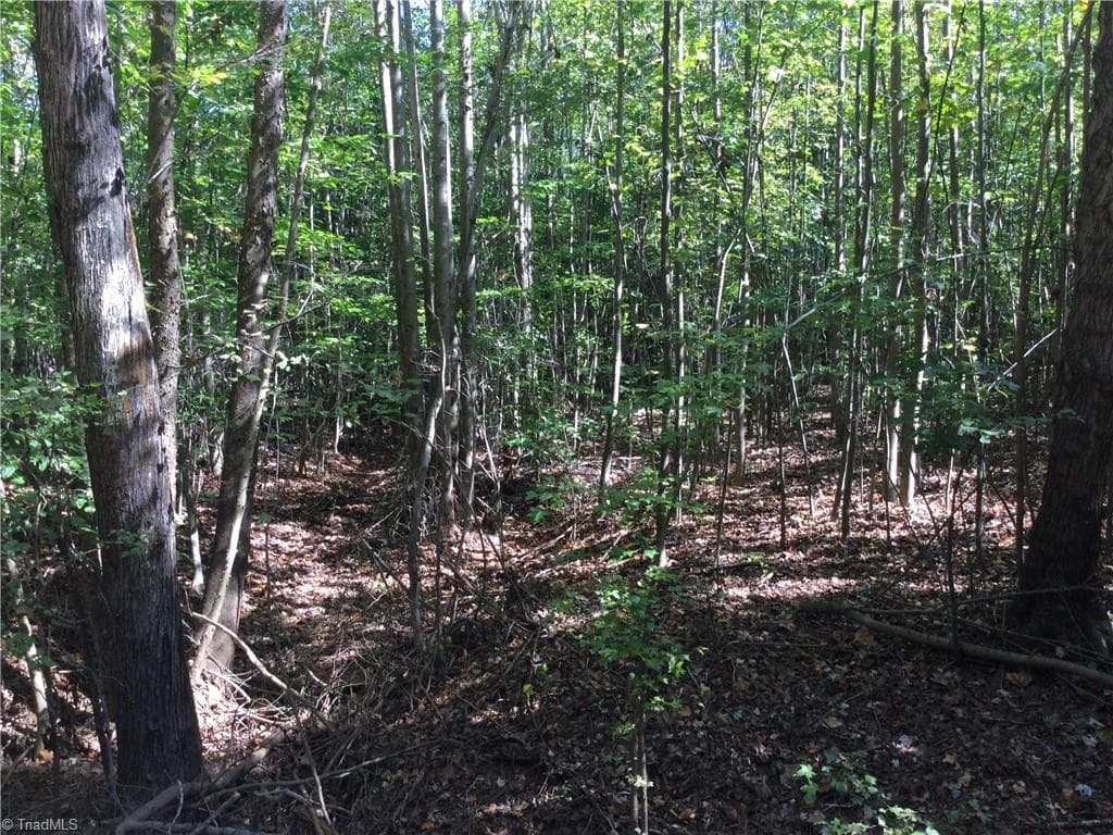 Unimproved Land at 00 & 000 Terrell Street, Mebane NC 27302, Mebane, photo 6 of 7