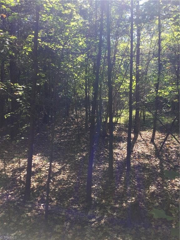 Unimproved Land at 00 & 000 Terrell Street, Mebane NC 27302, Mebane, photo 7 of 7