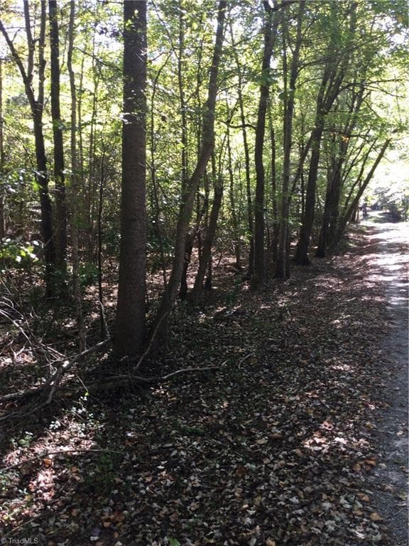 Unimproved Land at 00 & 000 Terrell Street, Mebane NC 27302, Mebane, photo 3 of 7