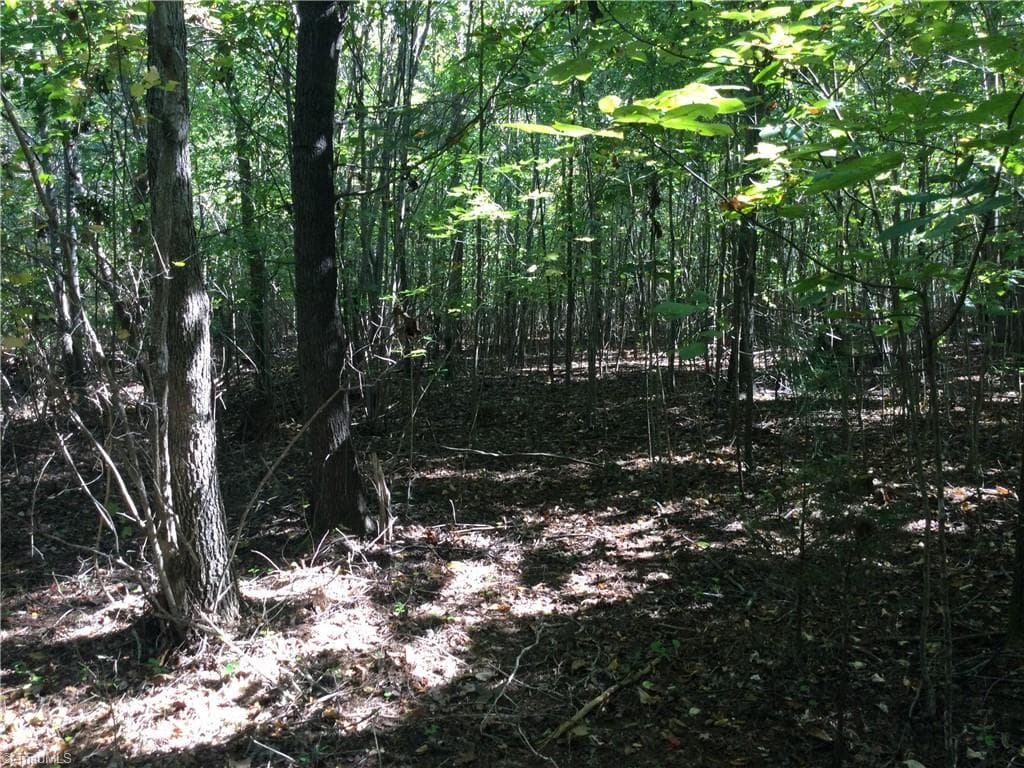 Unimproved Land at 00 & 000 Terrell Street, Mebane NC 27302, Mebane, photo 5 of 7