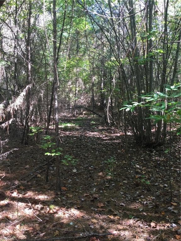 Unimproved Land at 00 & 000 Terrell Street, Mebane NC 27302, Mebane, photo 4 of 7