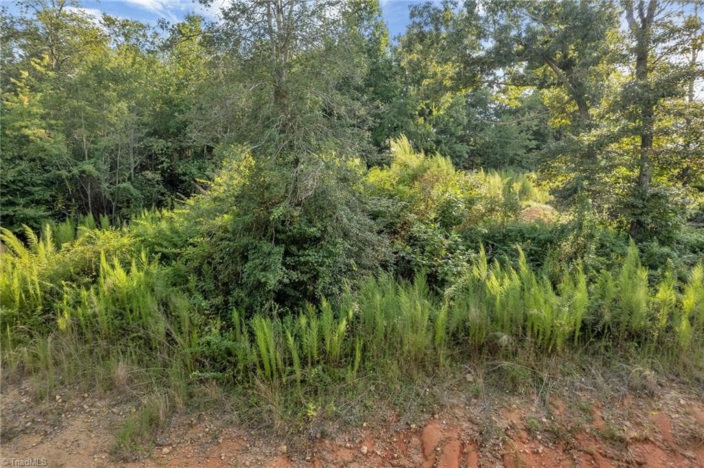 Single Family Residence at Lot 23 Regal Oaks Drive, Wilkesboro NC 28697, photo 3 of 3