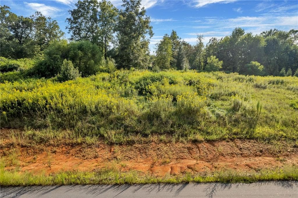 Single Family Residence at Lot 24 Regal Oaks Drive, Wilkesboro NC 28697, photo 2 of 3