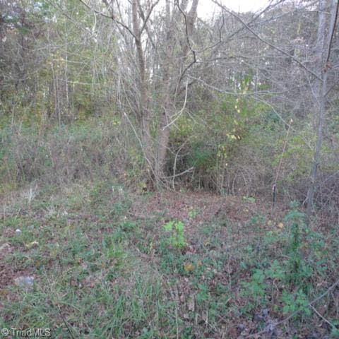 Single Family Residence at 187 Caravan Lane, Mocksville NC 27028, photo 2 of 3