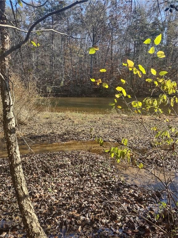 Portion of 1790 Mallard Lakes Drive, Winston-Salem NC 27106