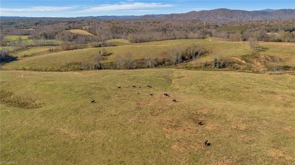 Unimproved Land at 000 Austin Traphill Road, Traphill NC 28685, photo 17 of 30