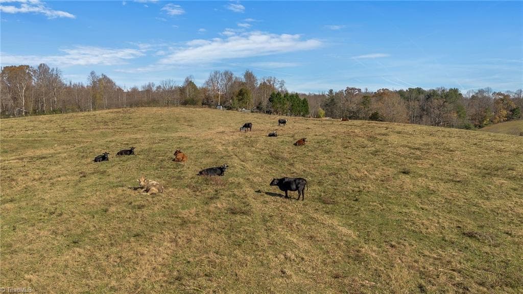 Unimproved Land at 000 Austin Traphill Road, Traphill NC 28685, photo 16 of 30