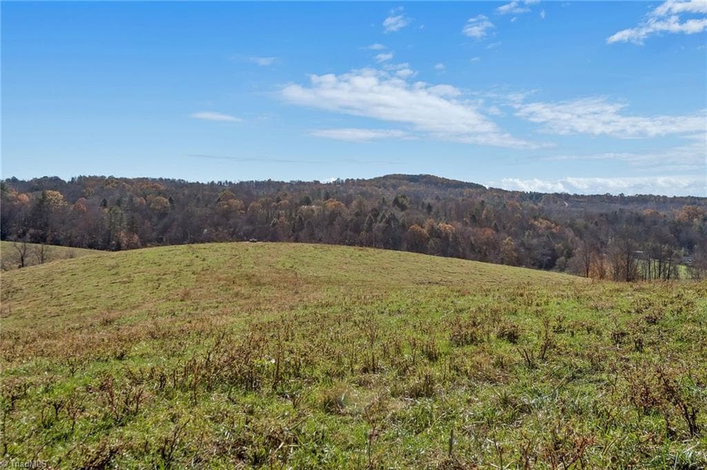 Unimproved Land at 000 Austin Traphill Road, Traphill NC 28685, photo 22 of 30
